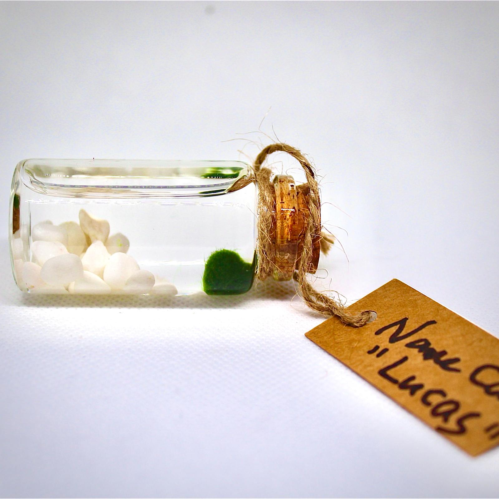 Live Mini Marimo Moss Ball White and Black Pebbles Glass Bottle Glass Specification:
0.8-1.5cm Marimo Live Moss Ball * 1
(Optional: adding more marimo...)
White/Black Pebbles Bag *1
String *1
Name Card *1
Tweezer *1
Simple Care Instruc
