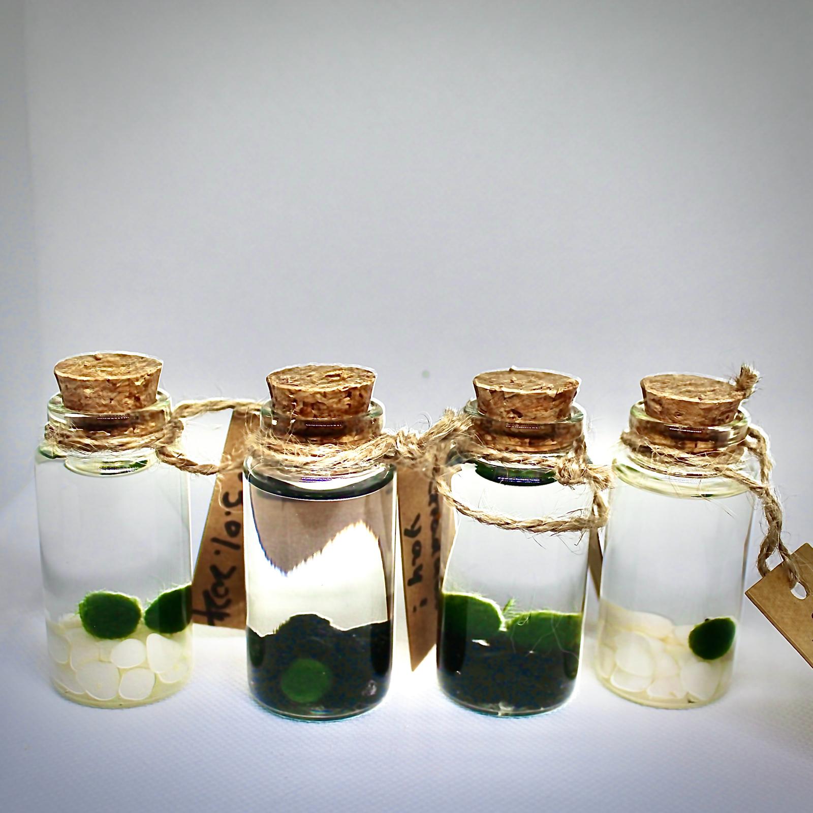 Live Mini Marimo Moss Ball White and Black Pebbles Glass Bottle Glass Specification:
0.8-1.5cm Marimo Live Moss Ball * 1
(Optional: adding more marimo...)
White/Black Pebbles Bag *1
String *1
Name Card *1
Tweezer *1
Simple Care Instruc