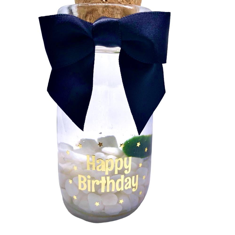 Happy Birthday party gift: Marimo moss ball kit ready to go full set for birthday party