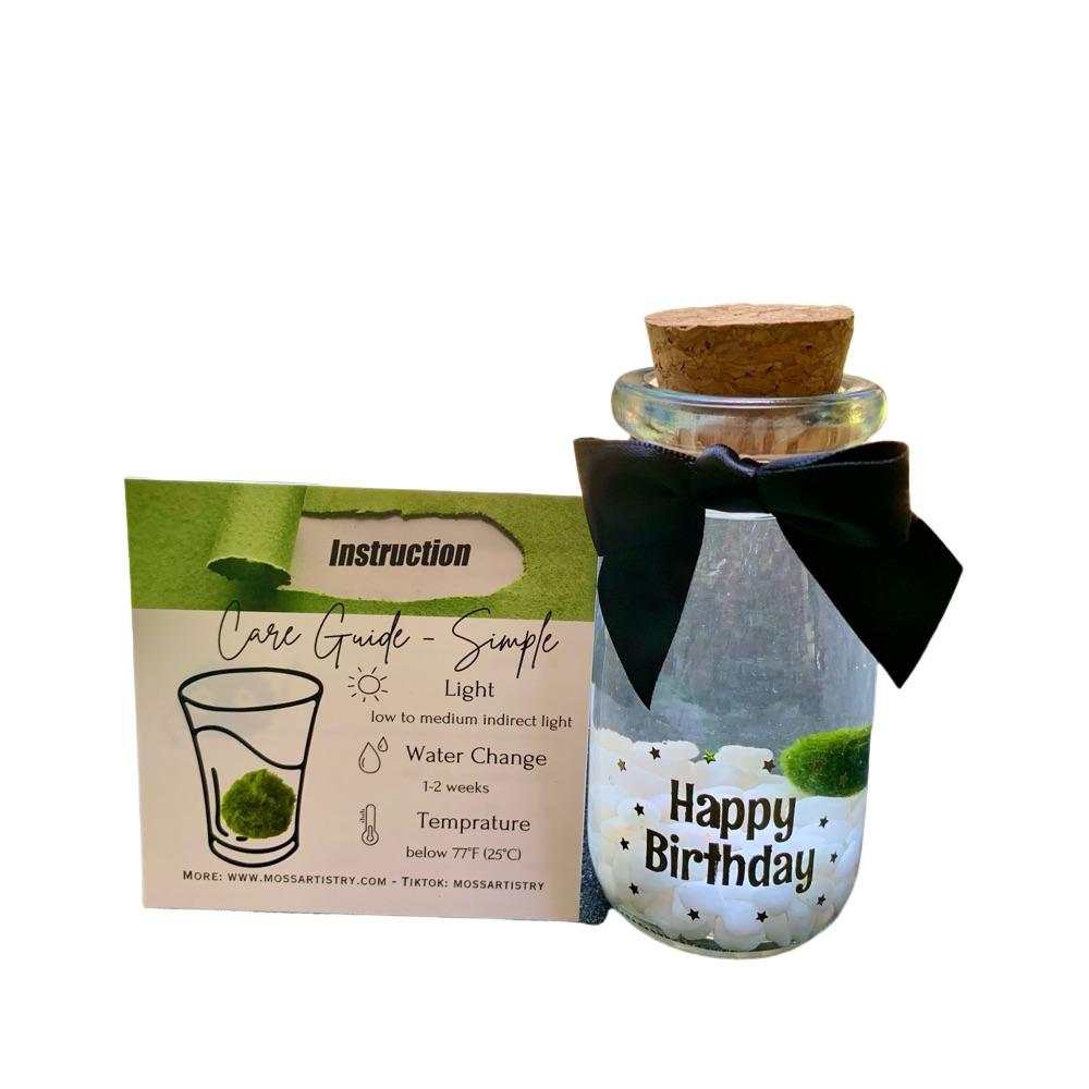 Happy Birthday party gift: Marimo moss ball kit ready to go full set for birthday party