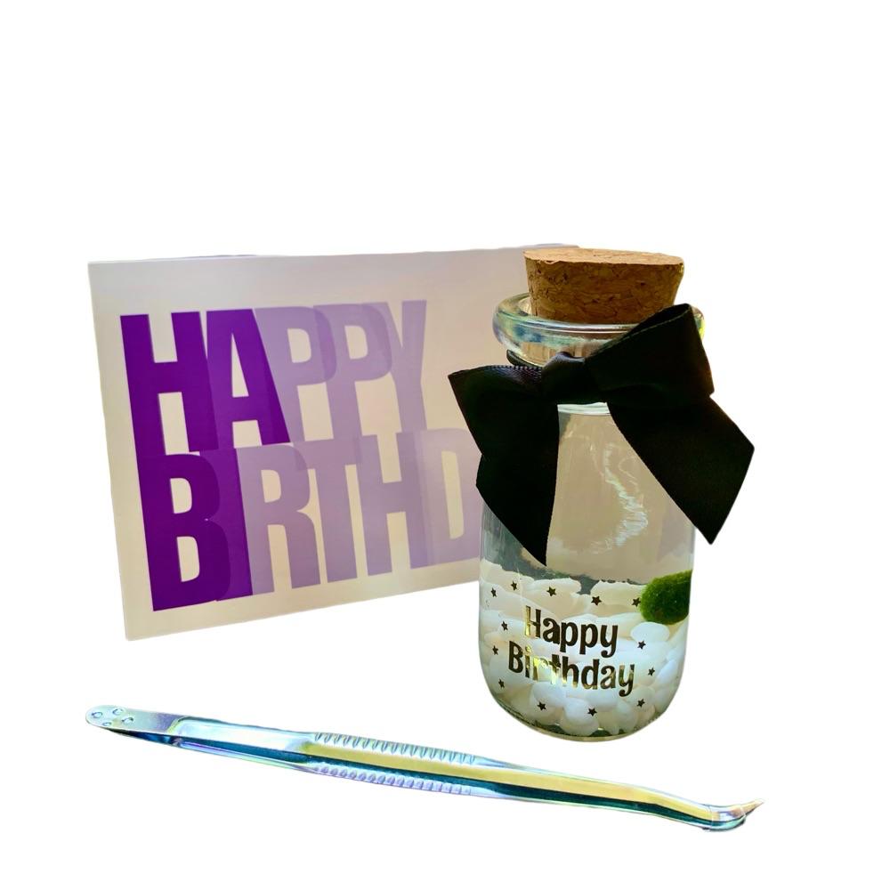 Happy Birthday party gift: Marimo moss ball kit ready to go full set for birthday party