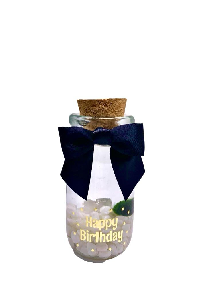 Happy Birthday party gift: Marimo moss ball kit ready to go full set for birthday party