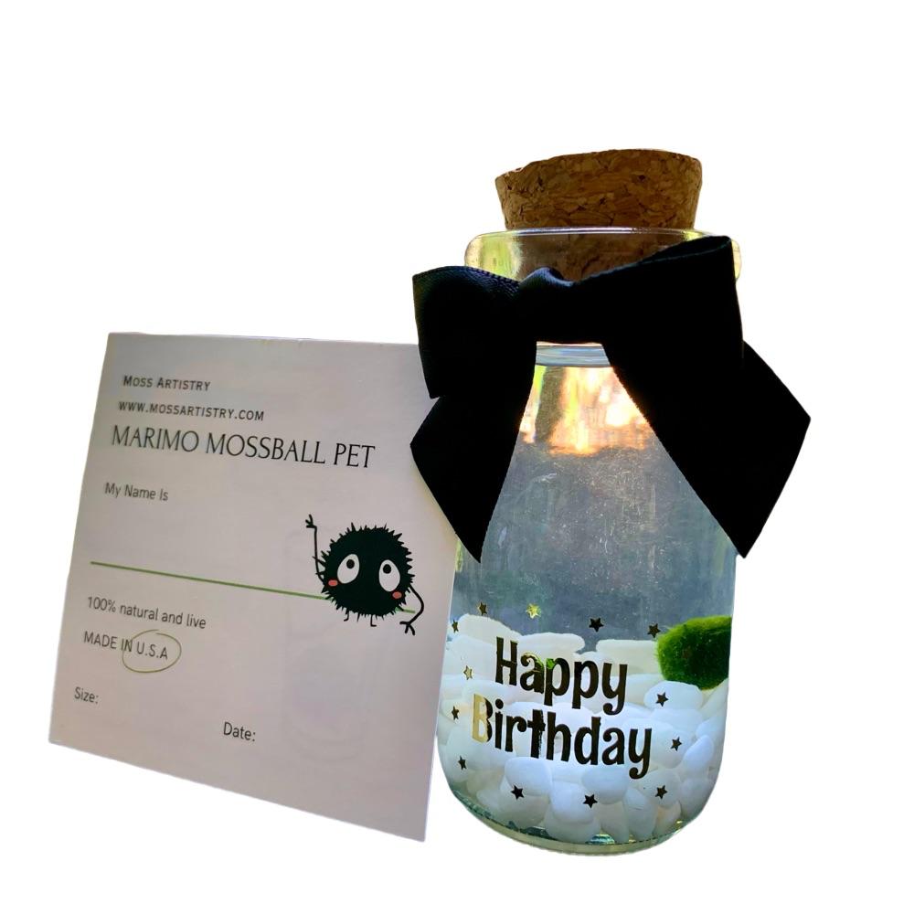Happy Birthday party gift: Marimo moss ball kit ready to go full set for birthday party