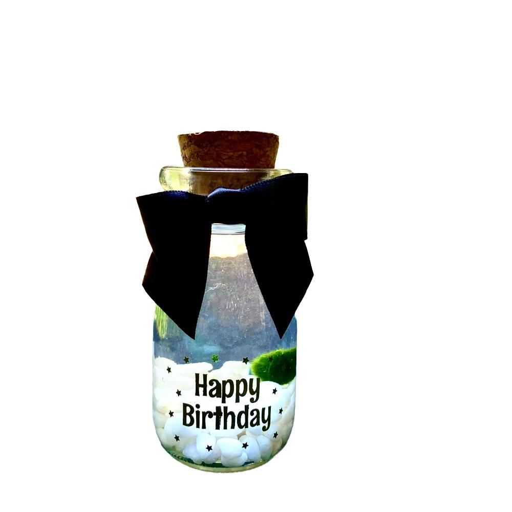 Happy Birthday party gift: Marimo moss ball kit ready to go full set for birthday party