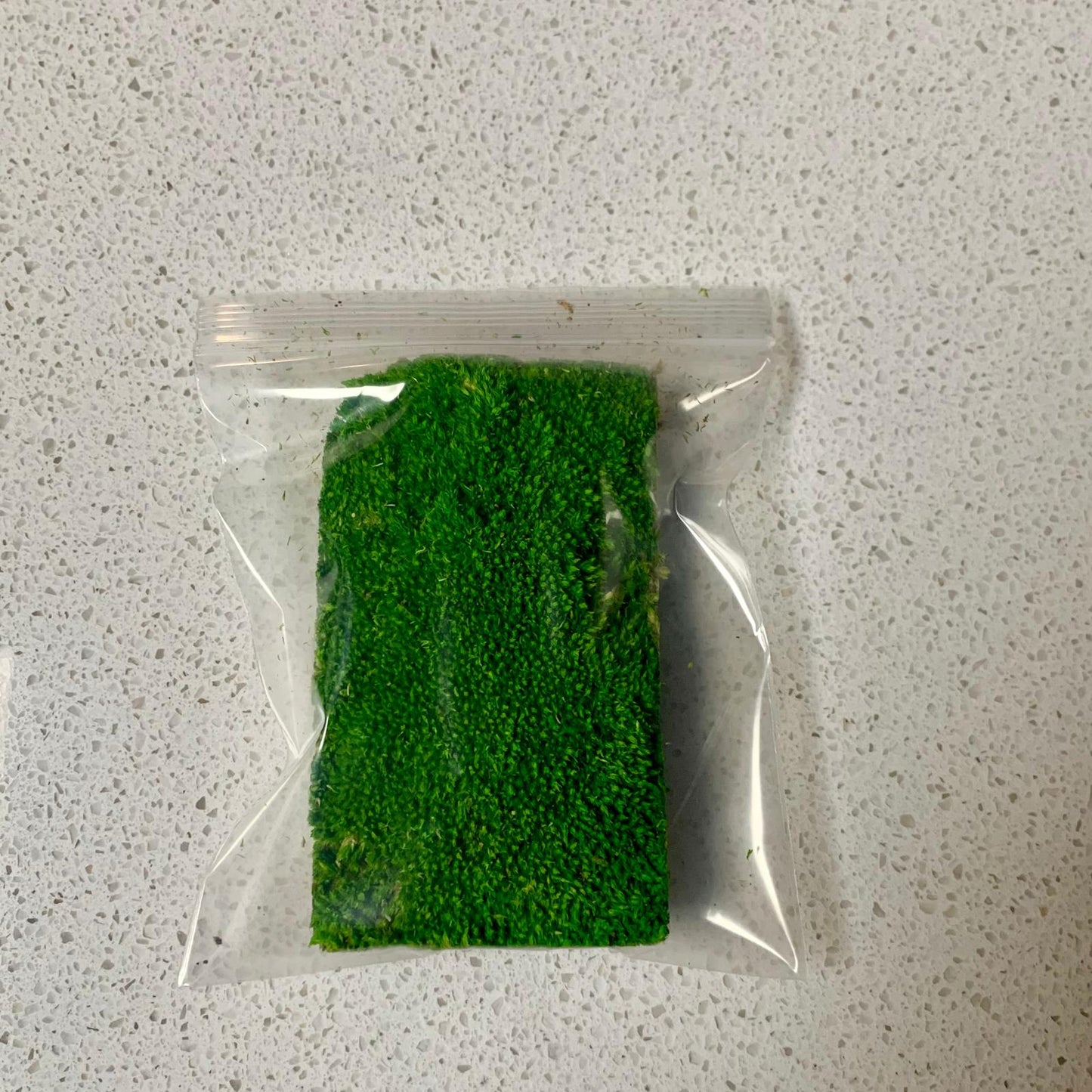 Preserved Moss Pieces For Sale