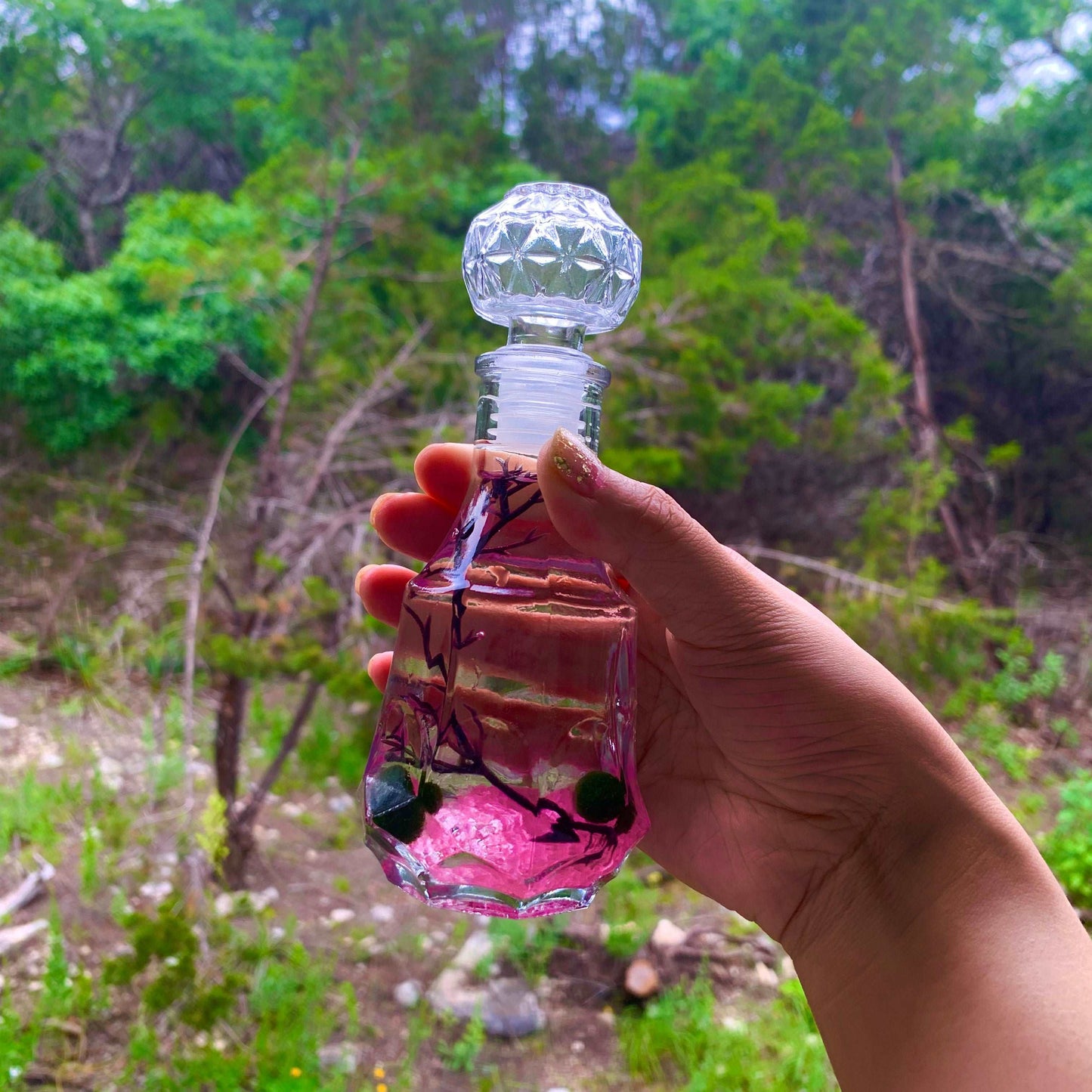 Romantic Marimo Moss Balls Glass Bottle Aquarium With Lid Love Plants for Beginners for Couples