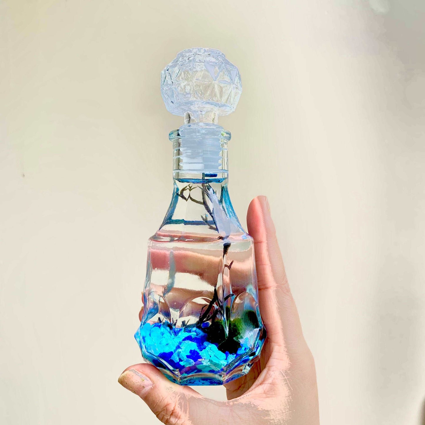 Moss Ball Aquarium Romantic Marimo Moss Balls Glass Bottle Aquarium With Lid Love Plants for Beginners for Couples Blue