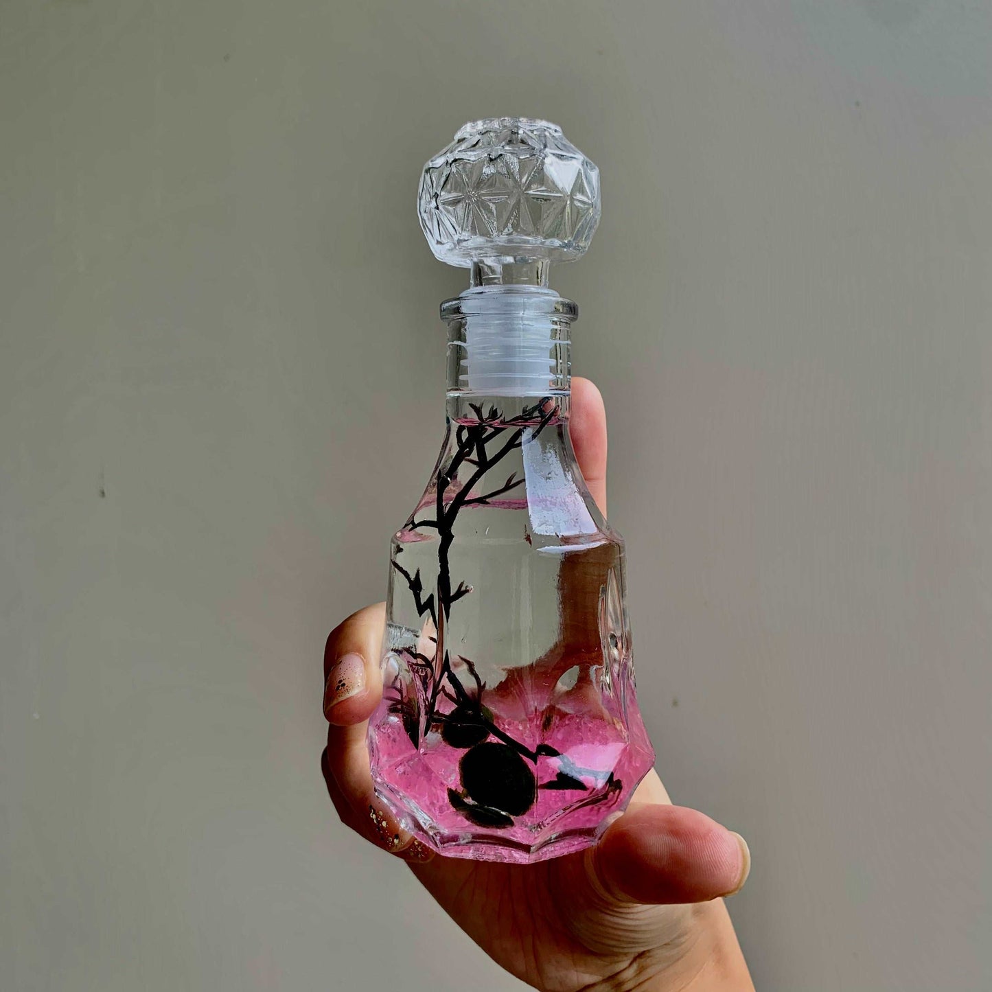 Romantic Marimo Moss Balls Glass Bottle Aquarium With Lid Love Plants for Beginners for Couples
