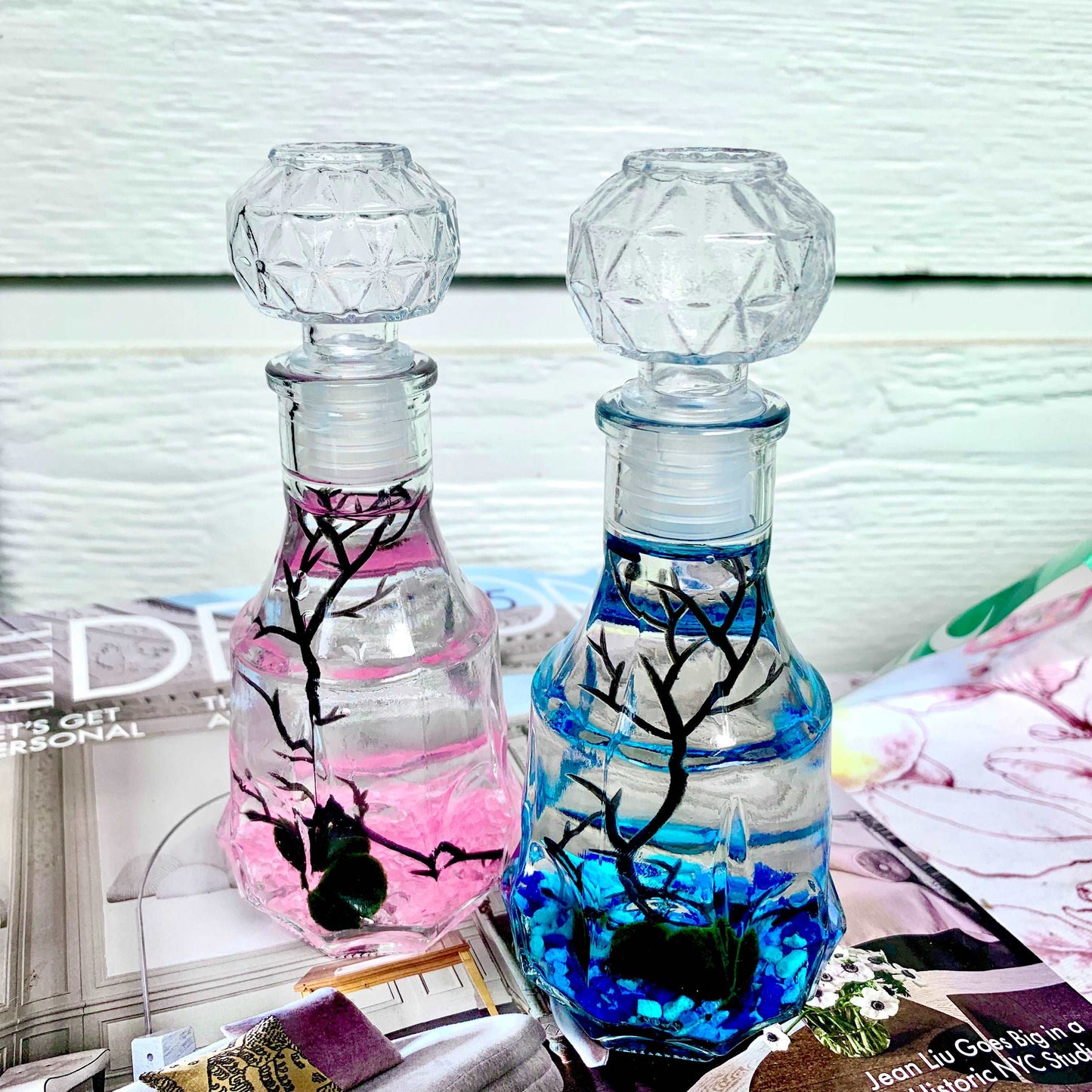 Romantic Marimo Moss Balls 2PCS Set Glass Bottle Aquarium With Lid Love Plants for Beginners for Couples