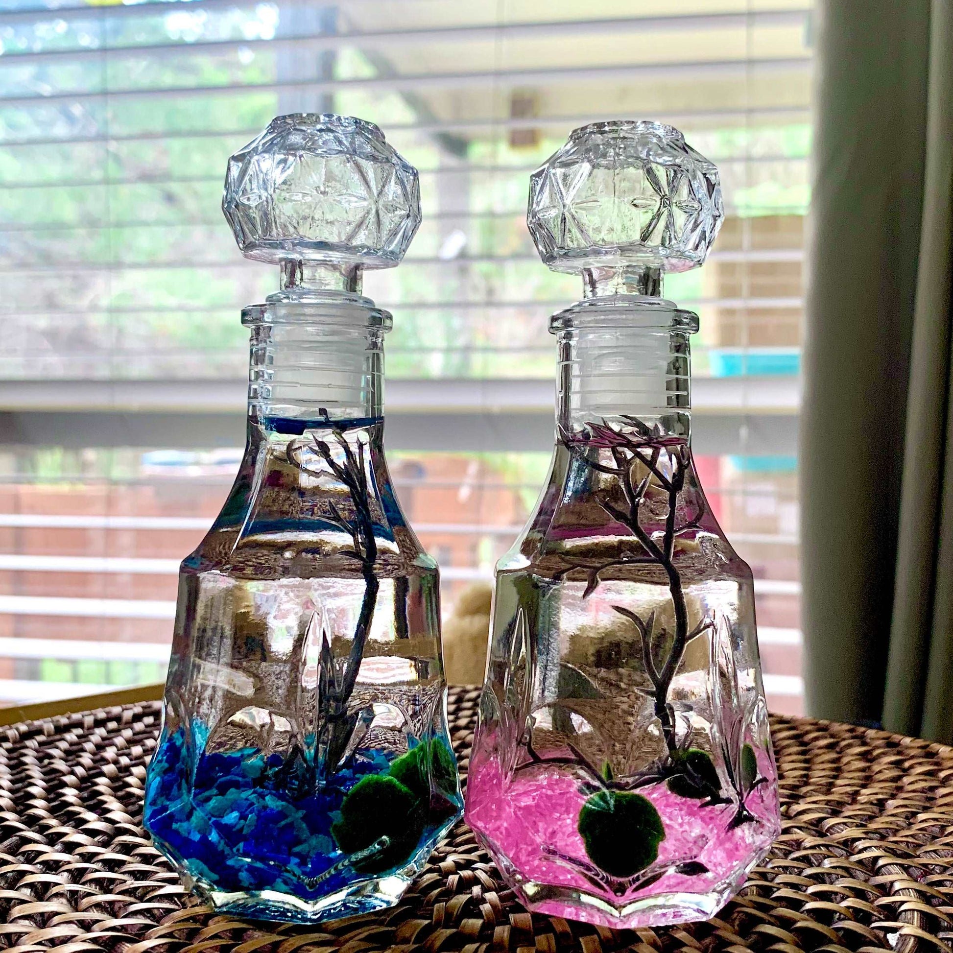 Romantic Marimo Moss Balls 2PCS Set Glass Bottle Aquarium With Lid Love Plants for Beginners for Couples