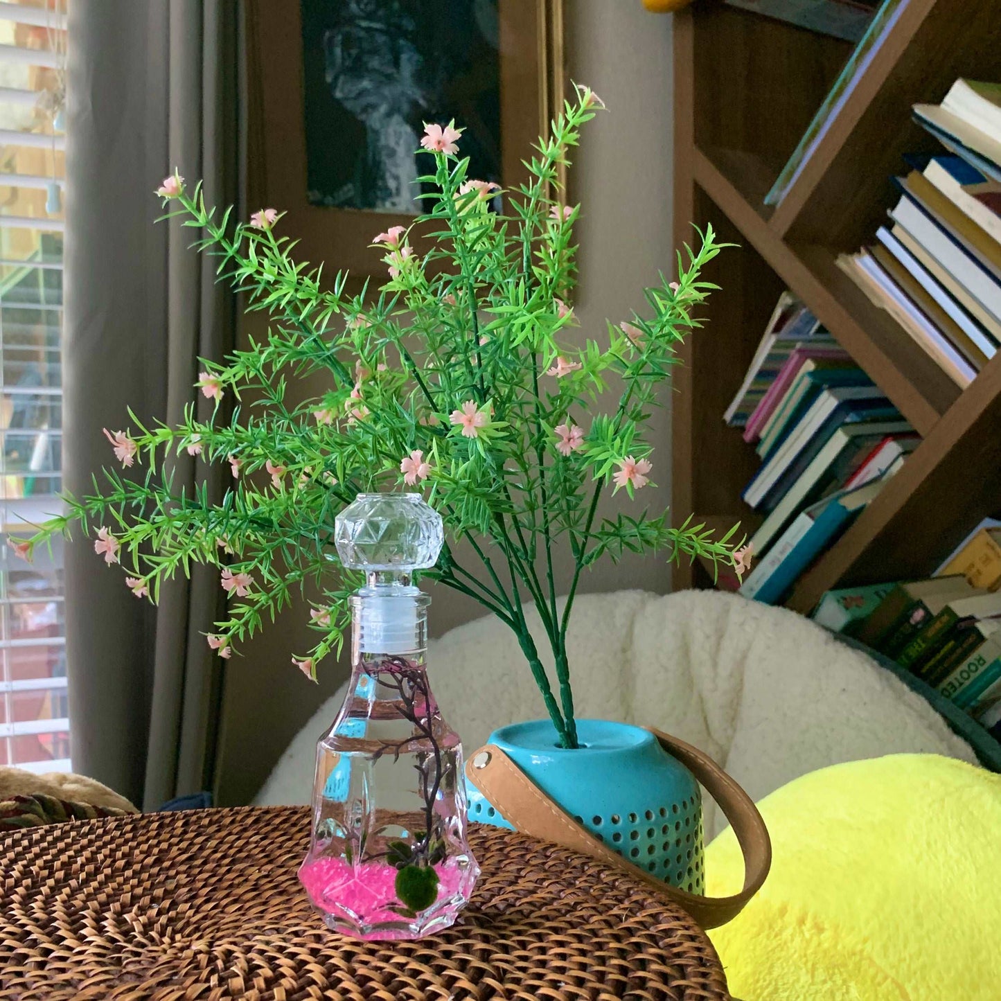 Romantic Marimo Moss Balls Glass Bottle Aquarium With Lid Love Plants for Beginners for Couples