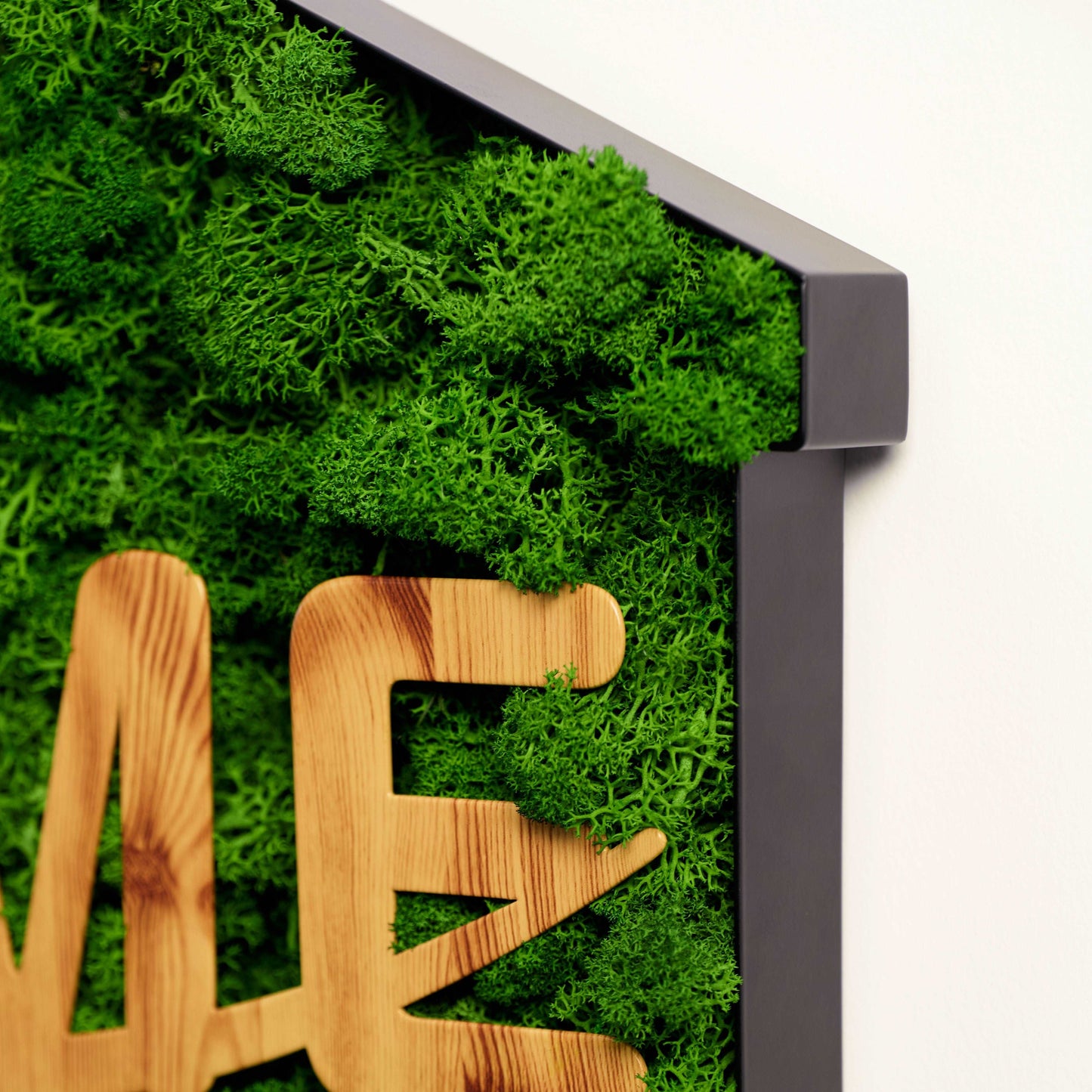 "HOME" Letters Moss Art Iron Hook Decoration – Housewarming Gem, An IdWelcome warmth and sustainability into your abode with the "HOME" Letters Moss Art Iron Hook Decoration, a testament to eco-friendly elegance and artistic flair. Cra