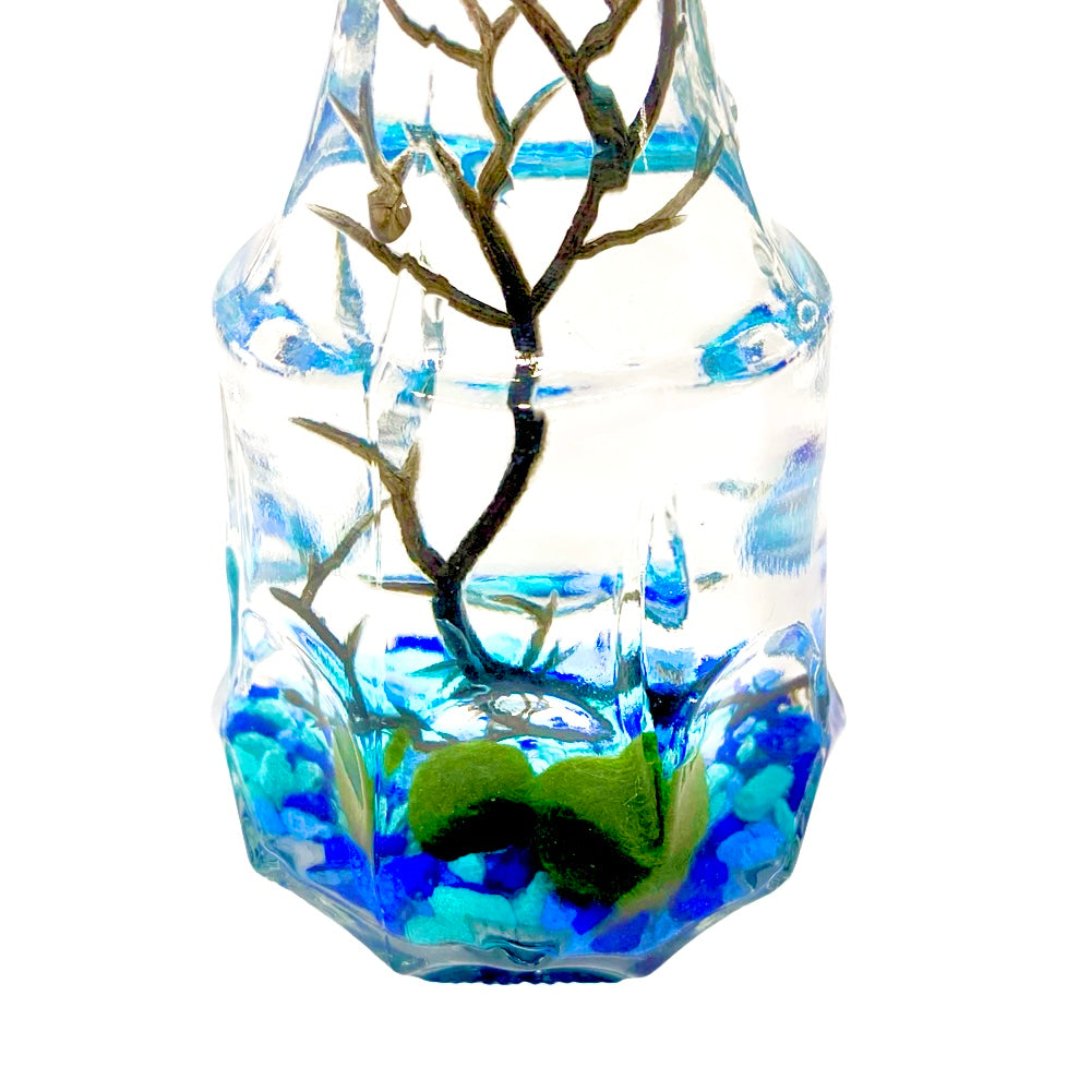 Moss Ball Aquarium Romantic Marimo Moss Balls Glass Bottle Aquarium With Lid Love Plants for Beginners for Couples Blue