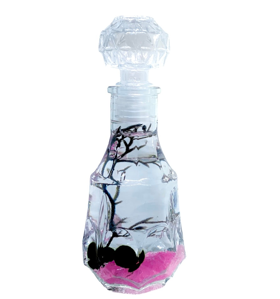 Romantic Marimo Moss Balls 2PCS Set Glass Bottle Aquarium With Lid Love Plants for Beginners for Couples - Moss Artistry