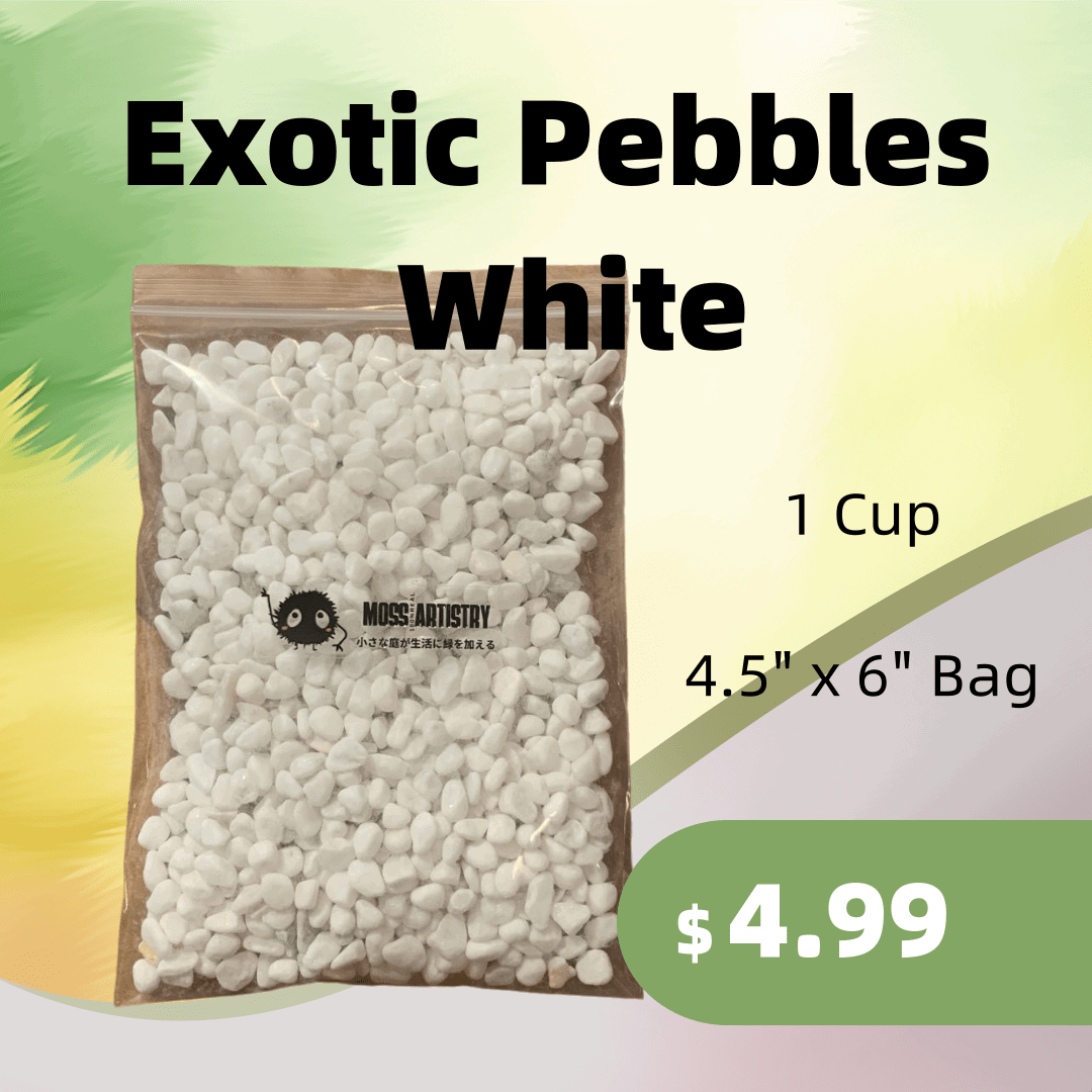 1 Cup Exotic Pebbles White Pebbles for Aquarium and Moss Ball Glass Te
Details
Perfectly suited for a broad variety of projects, including pet enclosures, terrariums, freshwater and marine aquariums, and more.
100% natural