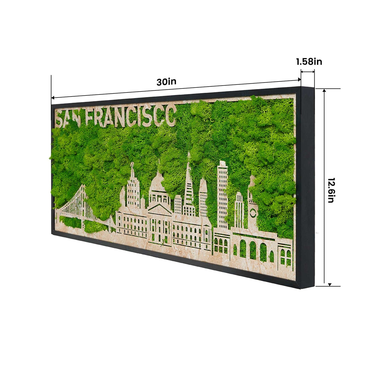 San Francisco Silhouette Moss Art Wall Decor – Urban Tranquility