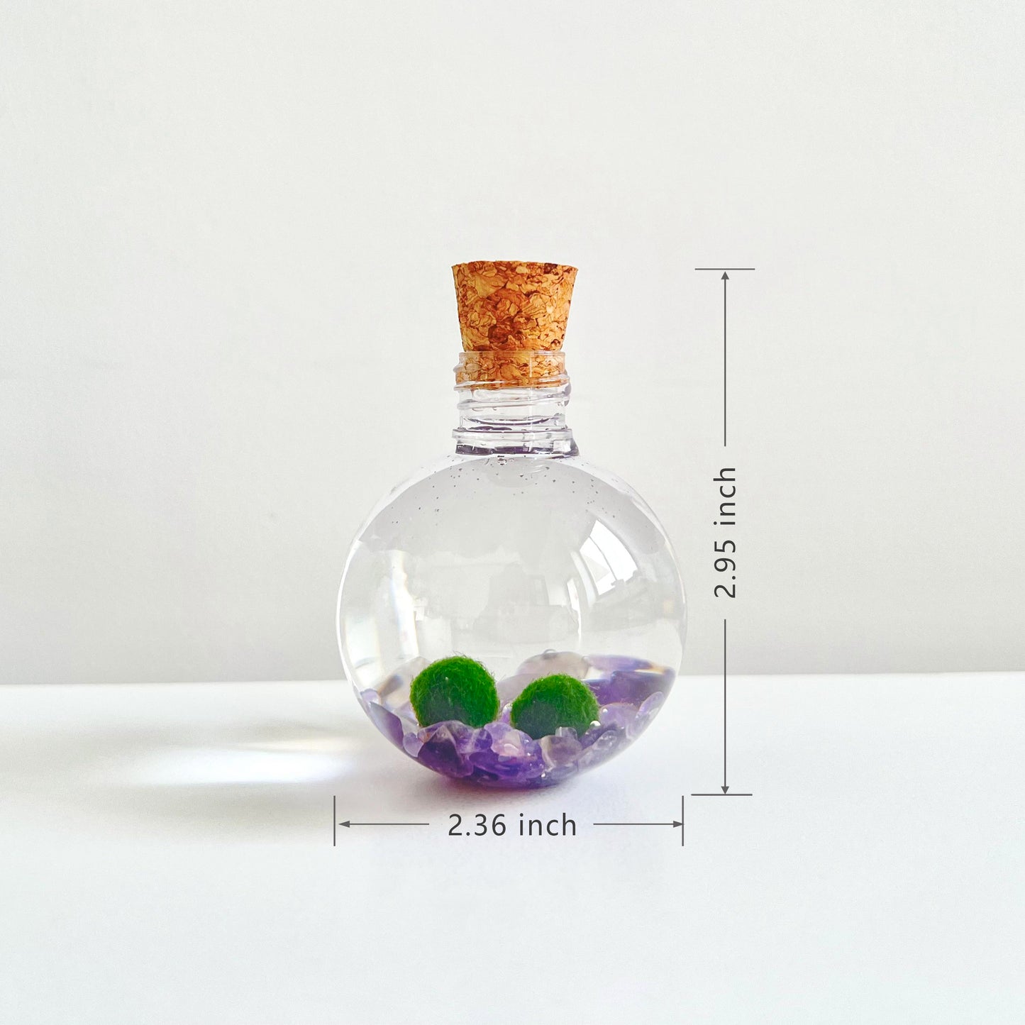 50ml Round Plastic Bottle with 2 Live Marimo Moss Balls | Choose from 5 Crystal Options