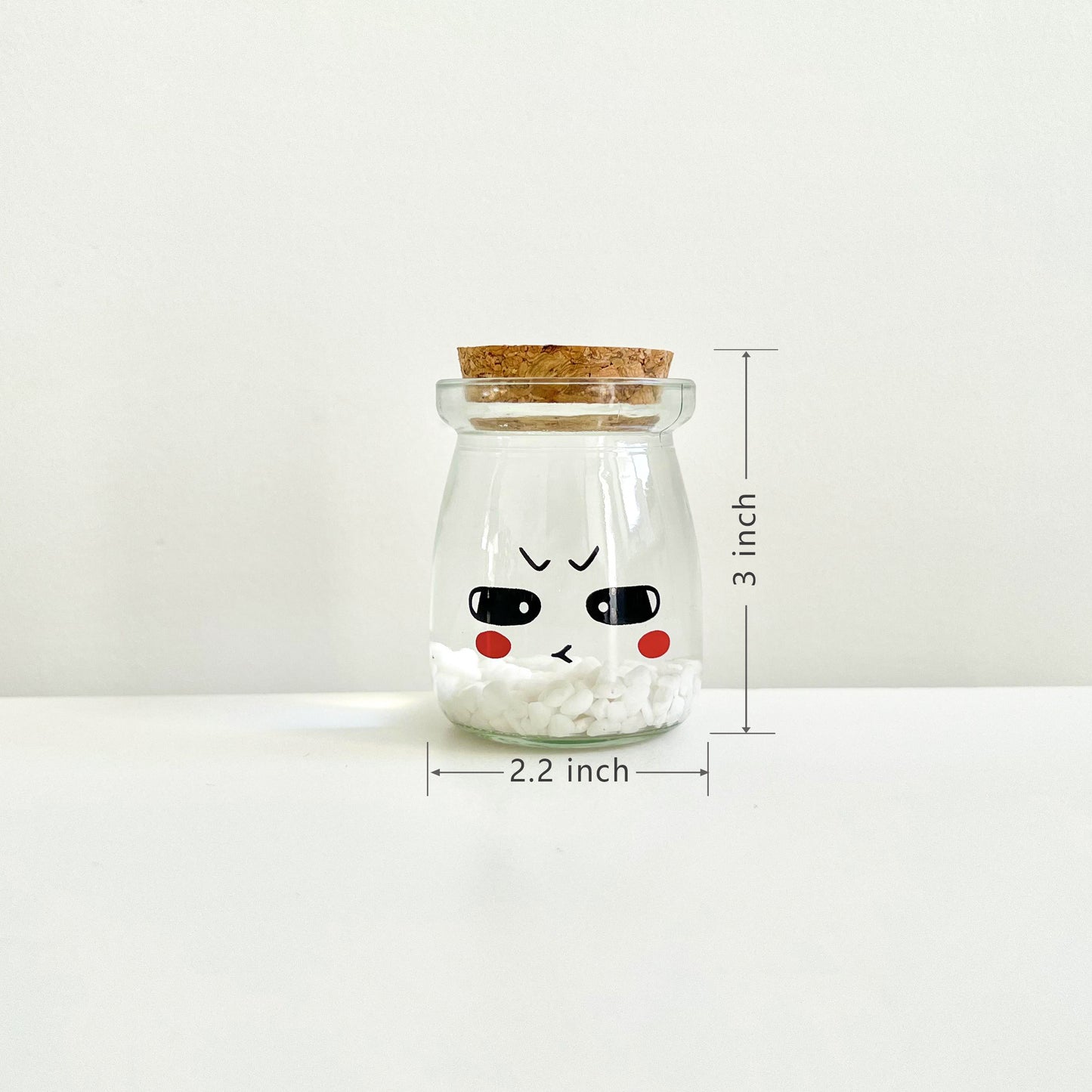 Cute Face Glass Jar with Cork, 2pcs Live Marimo Moss Balls, DIY Terrarium Gift