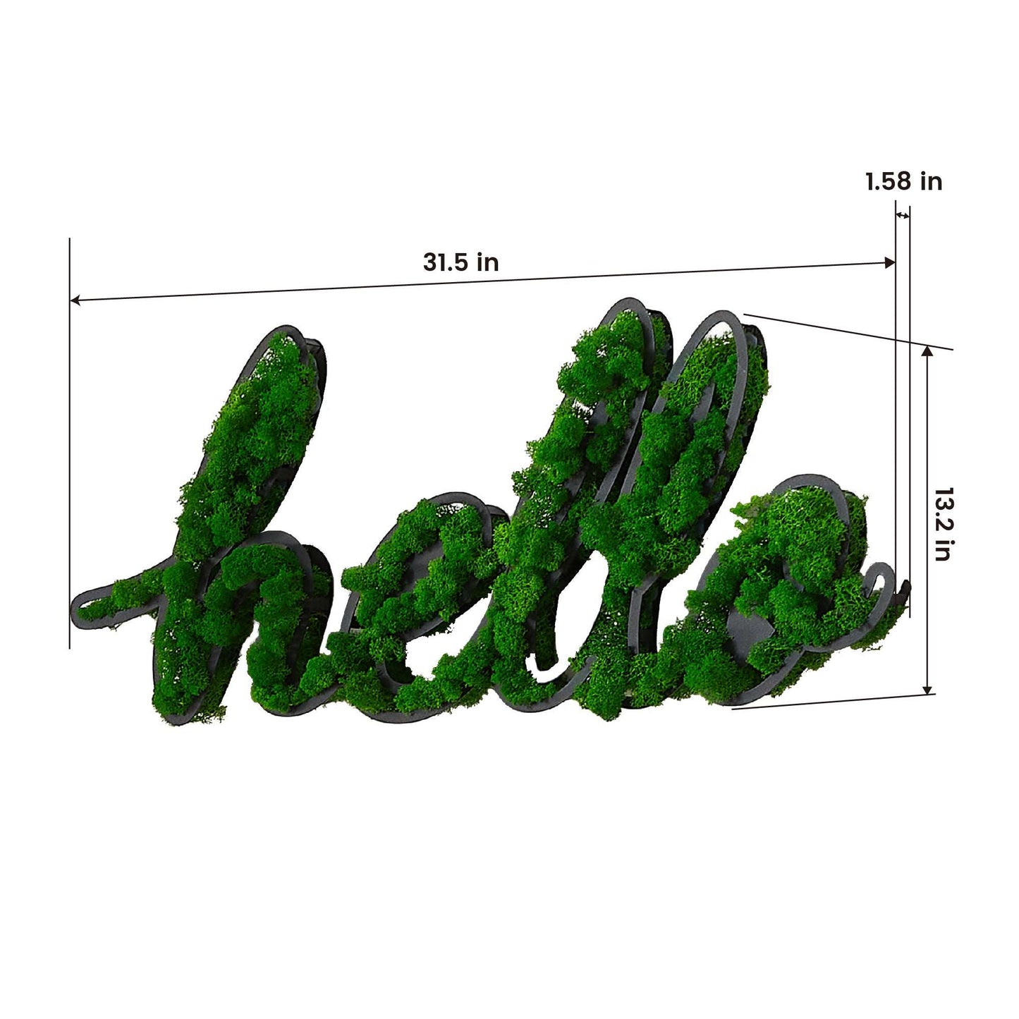 "HELLO" Letter Art Moss Wall Decor – A Natural Greeting