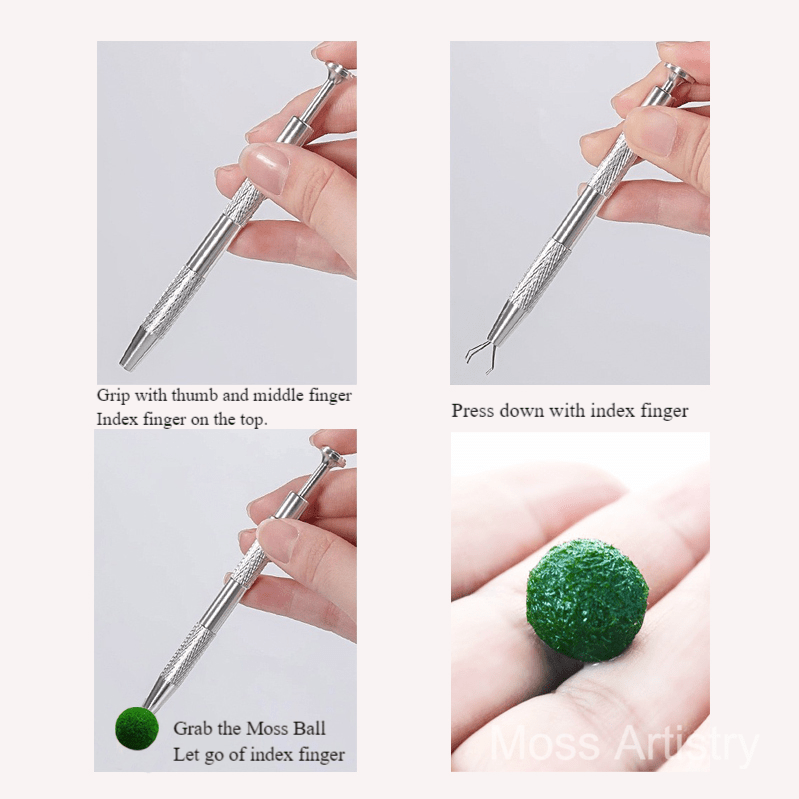 4 Claws Tweezers Stainless Steel Four-Claw Grip for Marimo Moss Ball, This specialized tool, crafted from stainless steel and featuring a four-claw design, effortlessly grips Marimo Moss Balls and aids in handling gemstones, zirconia d