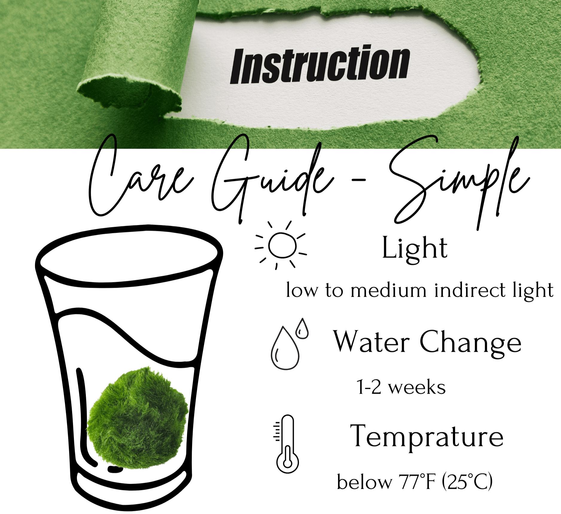 Marimo Moss Balls For Aquarium 10PCS Multiple Size Moss Ball Pet Bulk 
Notice 
There are two types of moss balls in the store:
0.5cm-2cm: Marimo Moss Balls, good for glass terrarium
2cm-8cm: Algae Moss Balls, good for aquarium
100% Rea