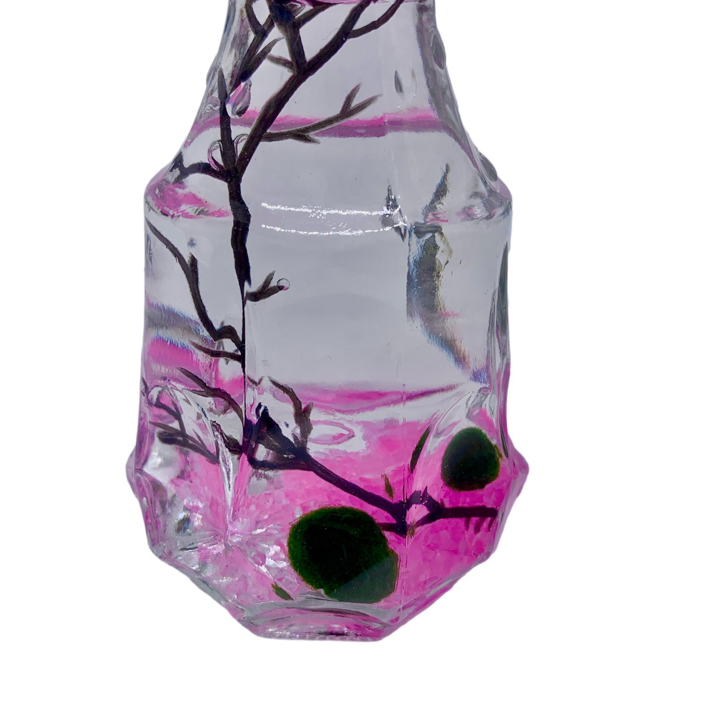 Romantic Marimo Moss Balls Glass Bottle Aquarium With Lid Love Plants for Beginners for Couples - Moss Artistry
