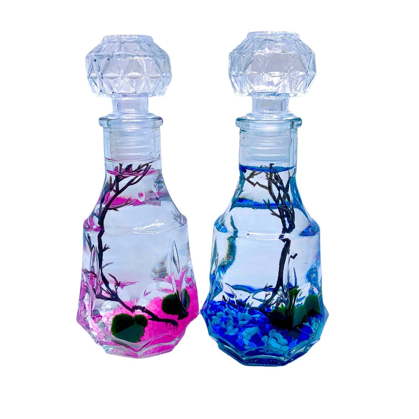 Romantic Marimo Moss Balls Glass Bottle Aquarium With Lid Love Plants for Beginners for Couples - Moss Artistry
