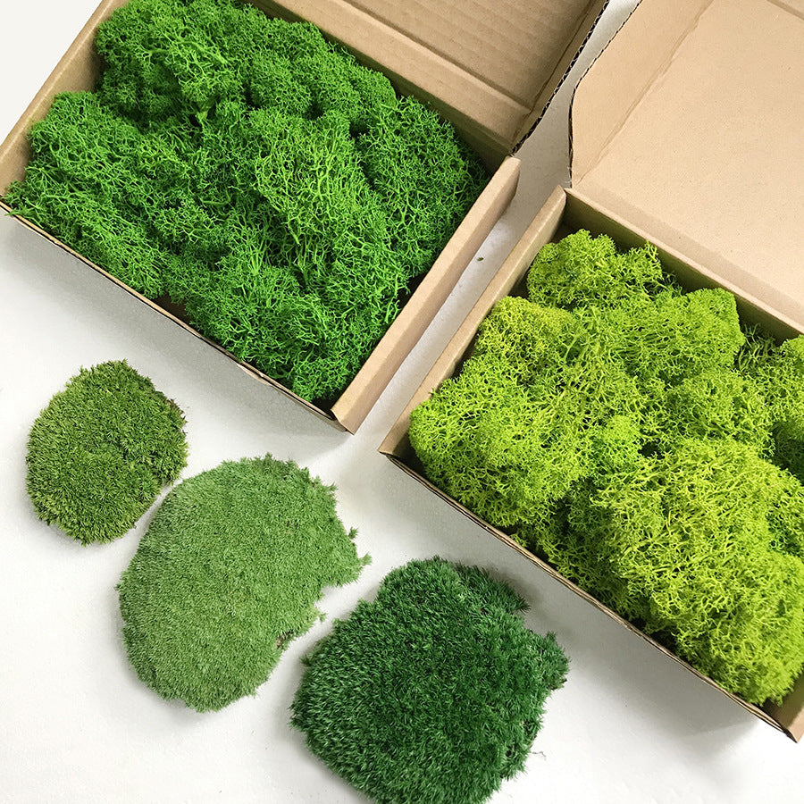 preserved pole moss Preserved Moss Pieces For Sale Mood Moss 2x4 Small