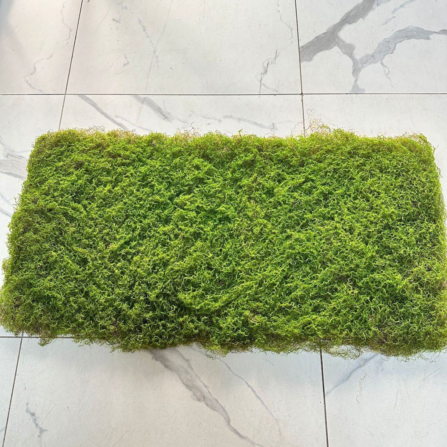 Preserved Moss Pieces For Sale