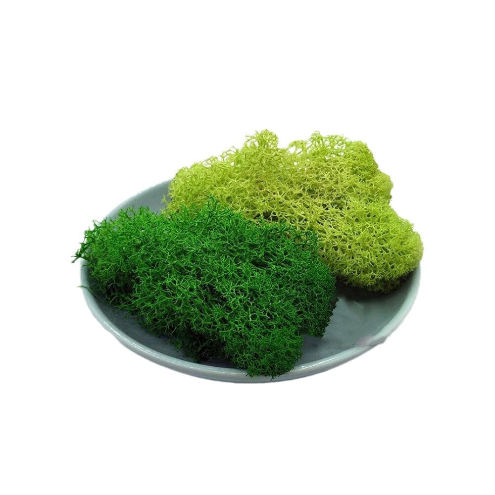 Preserved Moss Pieces For Sale