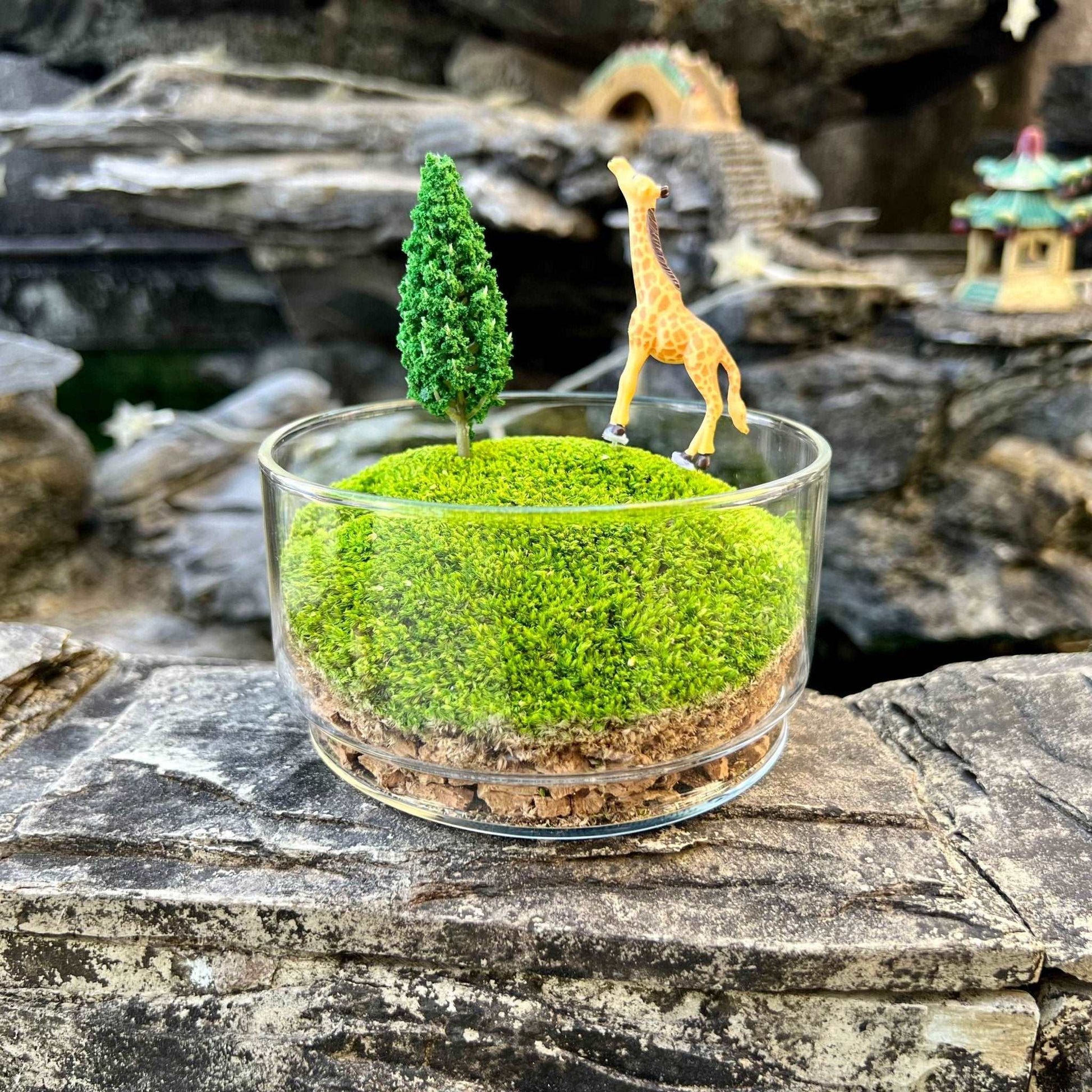 Handmade Terrarium Mini Giraffe Desktop Decoration Micro Landscape LawAre you tired of the monotony of your computer desktop? Say goodbye to boredom with our meticulously designed and handmade desktop decorations. Each product is craft