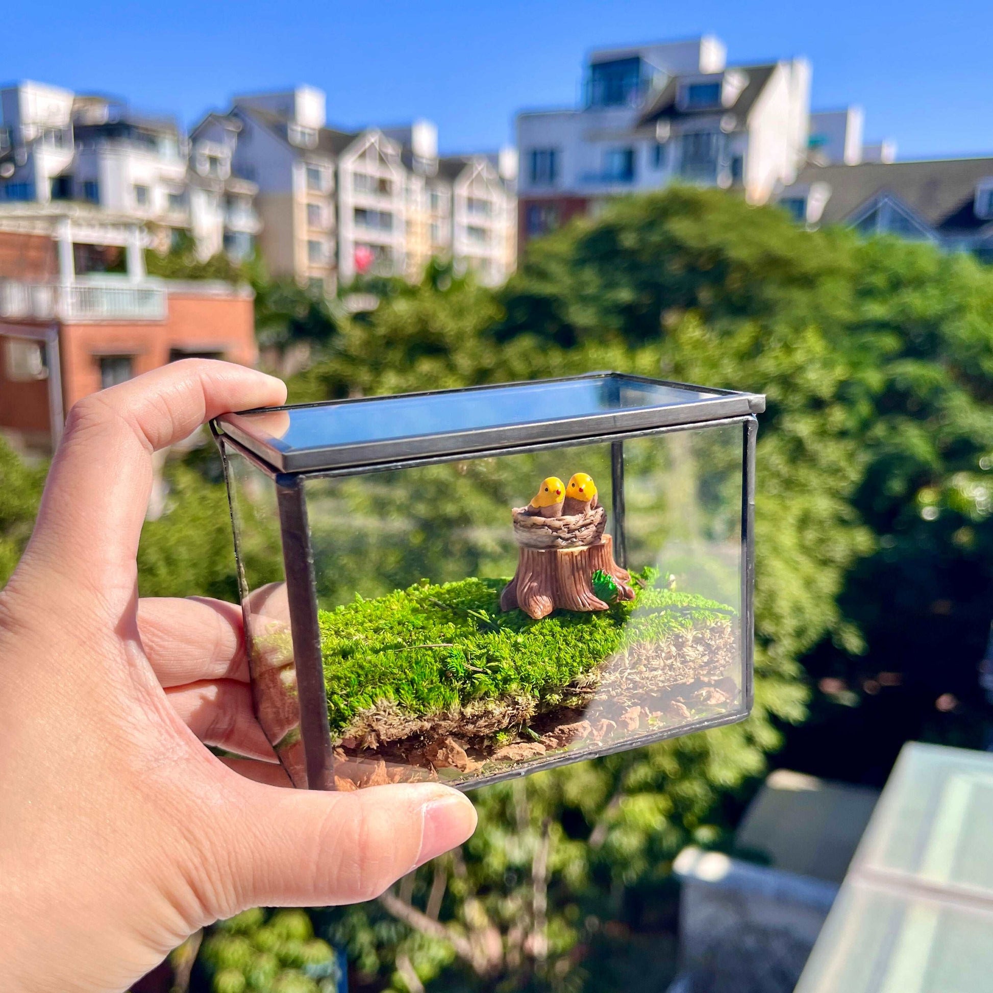 Bird's Nest Desktop Decoration Micro Landscape - Handcrafted PreservedBreak free from the monotony of your computer desk with our enchanting Bird's Nest Desktop Decoration. Each piece is handcrafted with precision and care, designed to