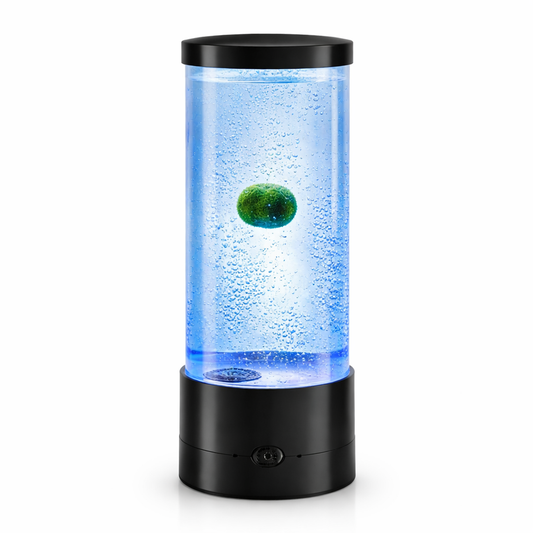Free Gift Marimo Tumbler Marimo Bubble LED Aquarium