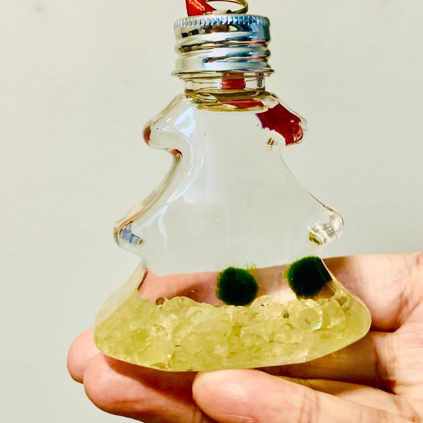 Live Moss Ball Aqua Plant Pet Ornament with Natural Yellow Citrine