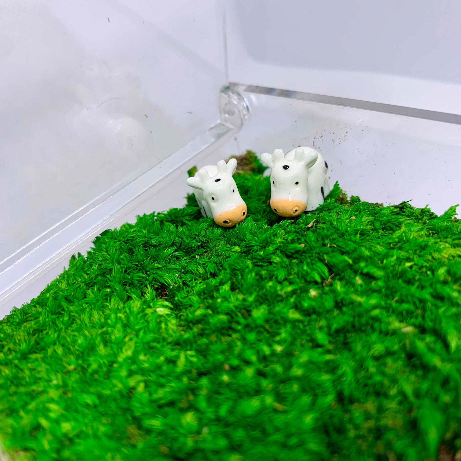 Table Decor Mini Sheep Decoration Micro Landscape Lawn Handmade