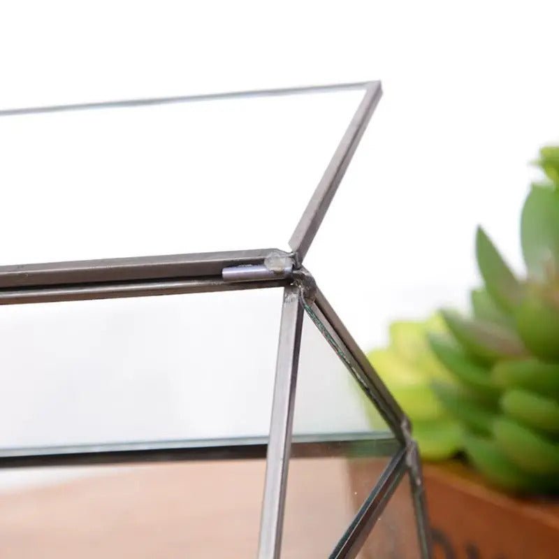 Small 6.1"x6.3"x4.33" Black House Shape Glass Terrarium with Swing Lid


Material
Glass


Special Feature
with lid


Item Weight
1.68 Pounds


Shape
house shape


Specific Uses For Product
Indoor


Style
geometric


Color
Black




Hou