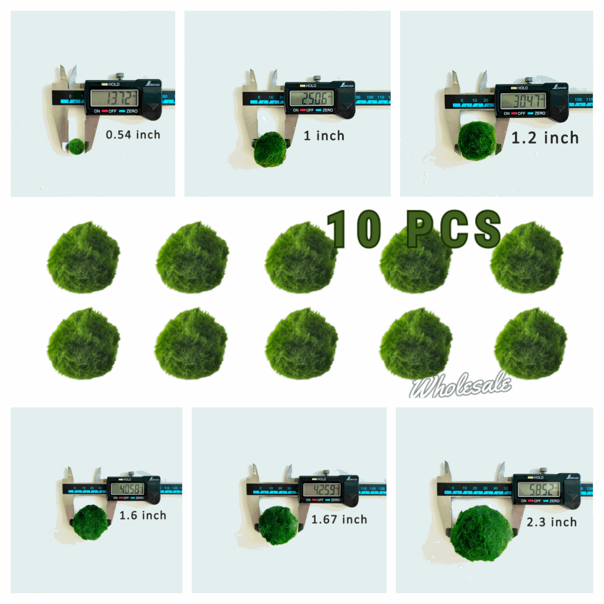 Moss ArtistryMarimo Moss Balls