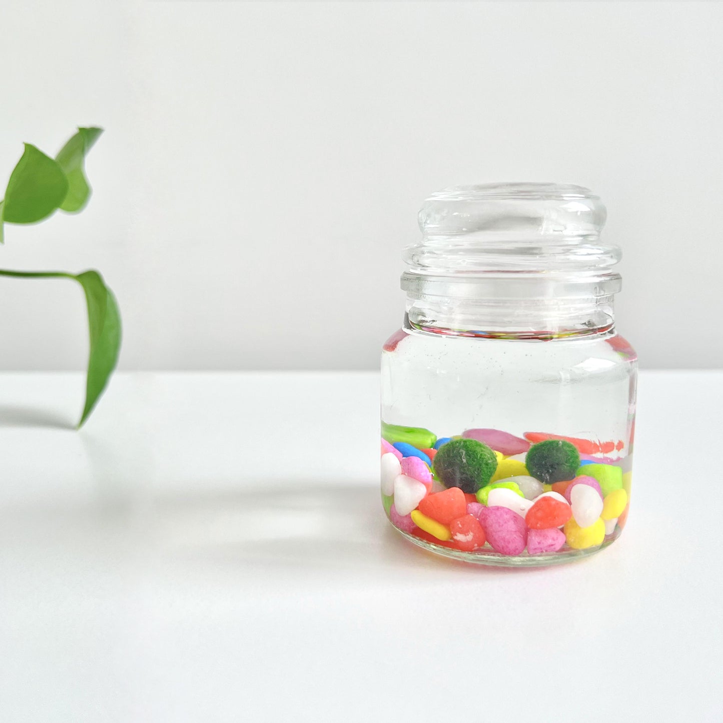 Moss Ball Kit – 2pcs 120ml Glass Jars with Lids, 1cm Live Marimo Moss Balls, Mushroom Bottle Set – Unique Terrarium Gift