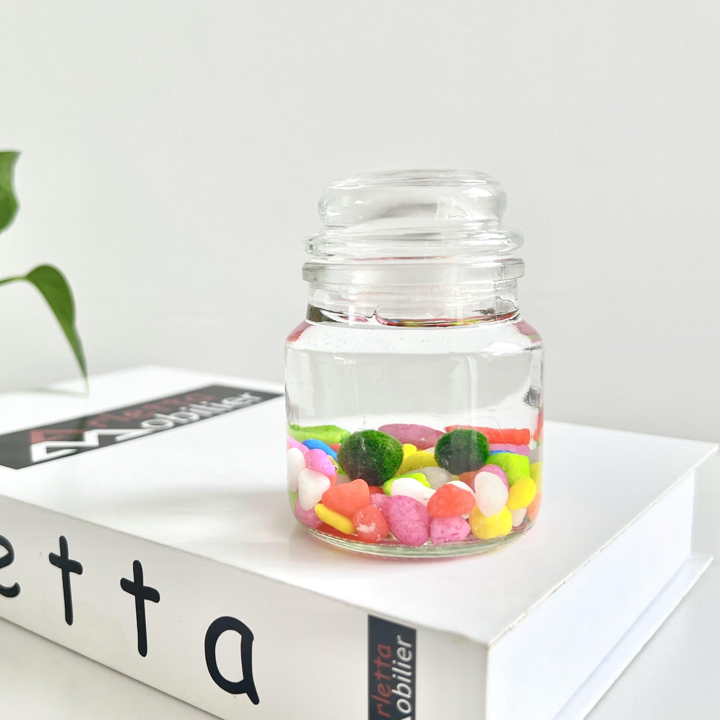 Moss Ball Kit – 2pcs 120ml Glass Jars with Lids, 1cm Live Marimo Moss Balls, Mushroom Bottle Set – Unique Terrarium Gift