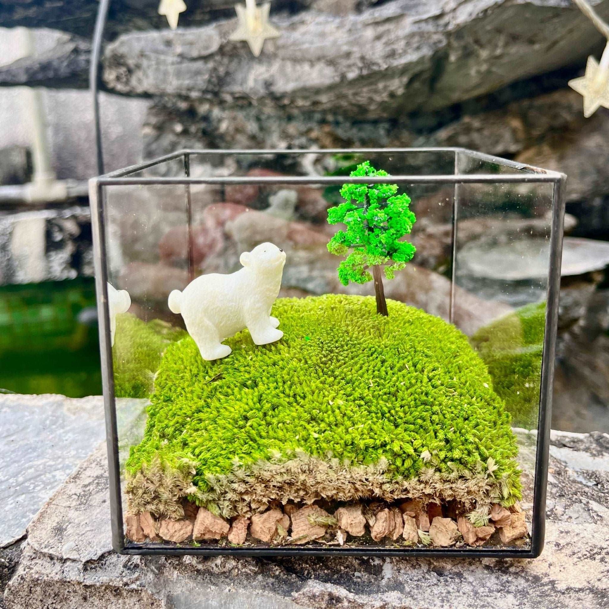 White Lost Bear Mossbox - Middle Size Micro Landscape in Square Glass