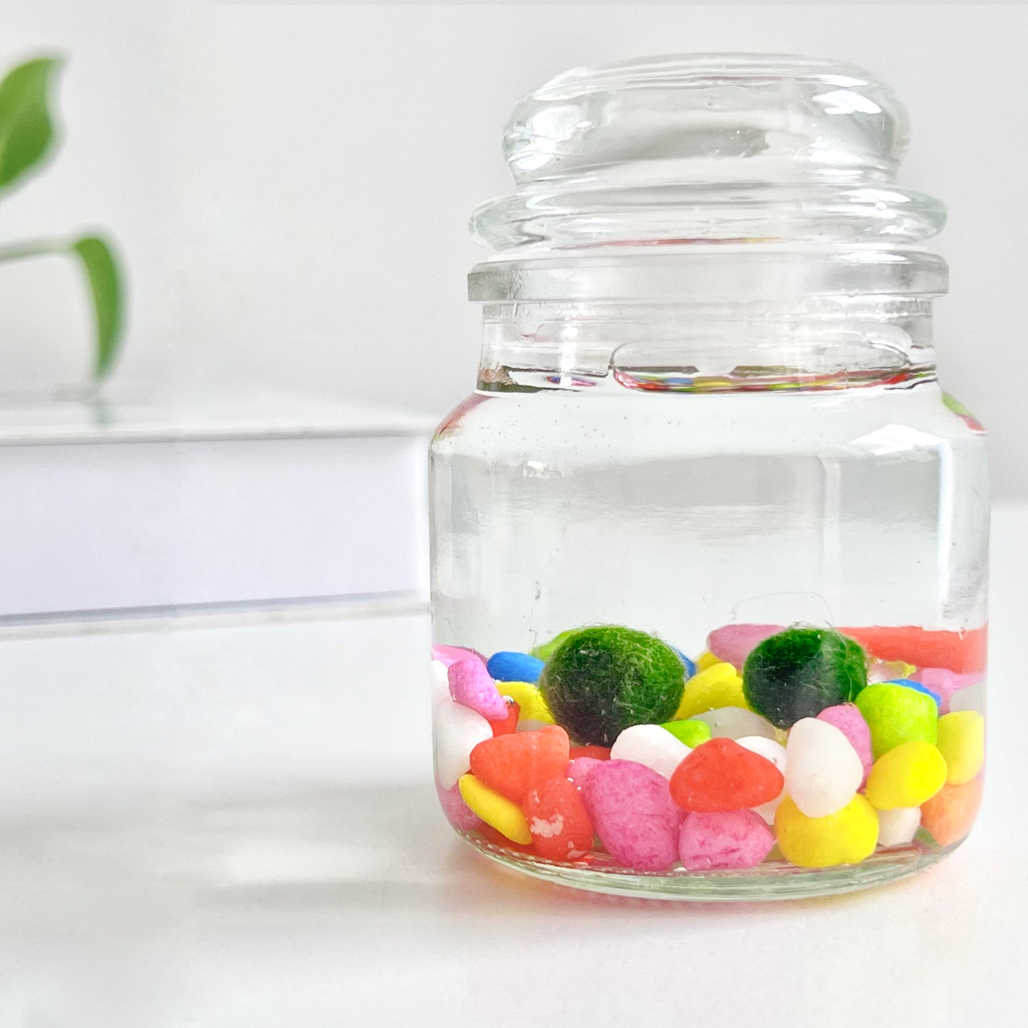 Moss Ball Kit – 2pcs 120ml Glass Jars with Lids, 1cm Live Marimo Moss Balls, Mushroom Bottle Set – Unique Terrarium Gift