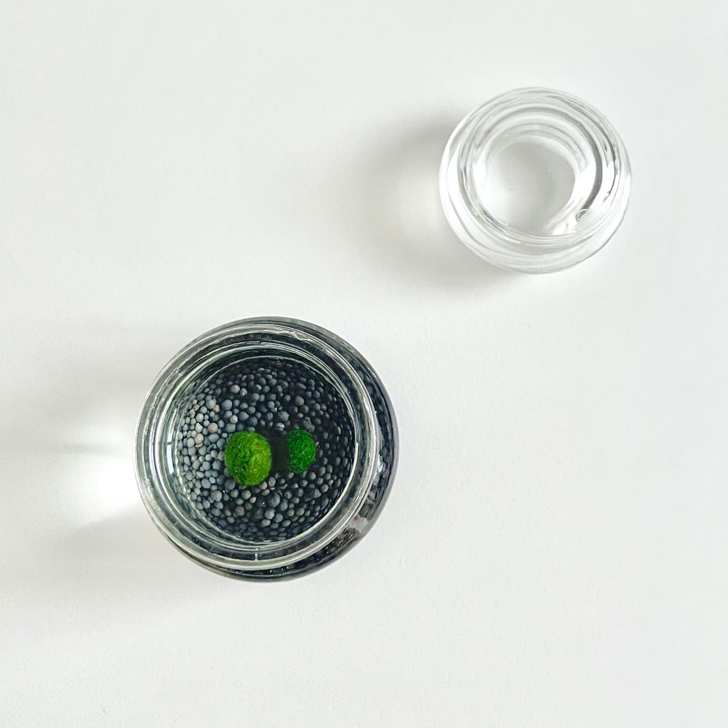 Moss Ball Kit – 2pcs 120ml Glass Jars with Lids, 1cm Live Marimo Moss Balls, Mushroom Bottle Set – Unique Terrarium Gift