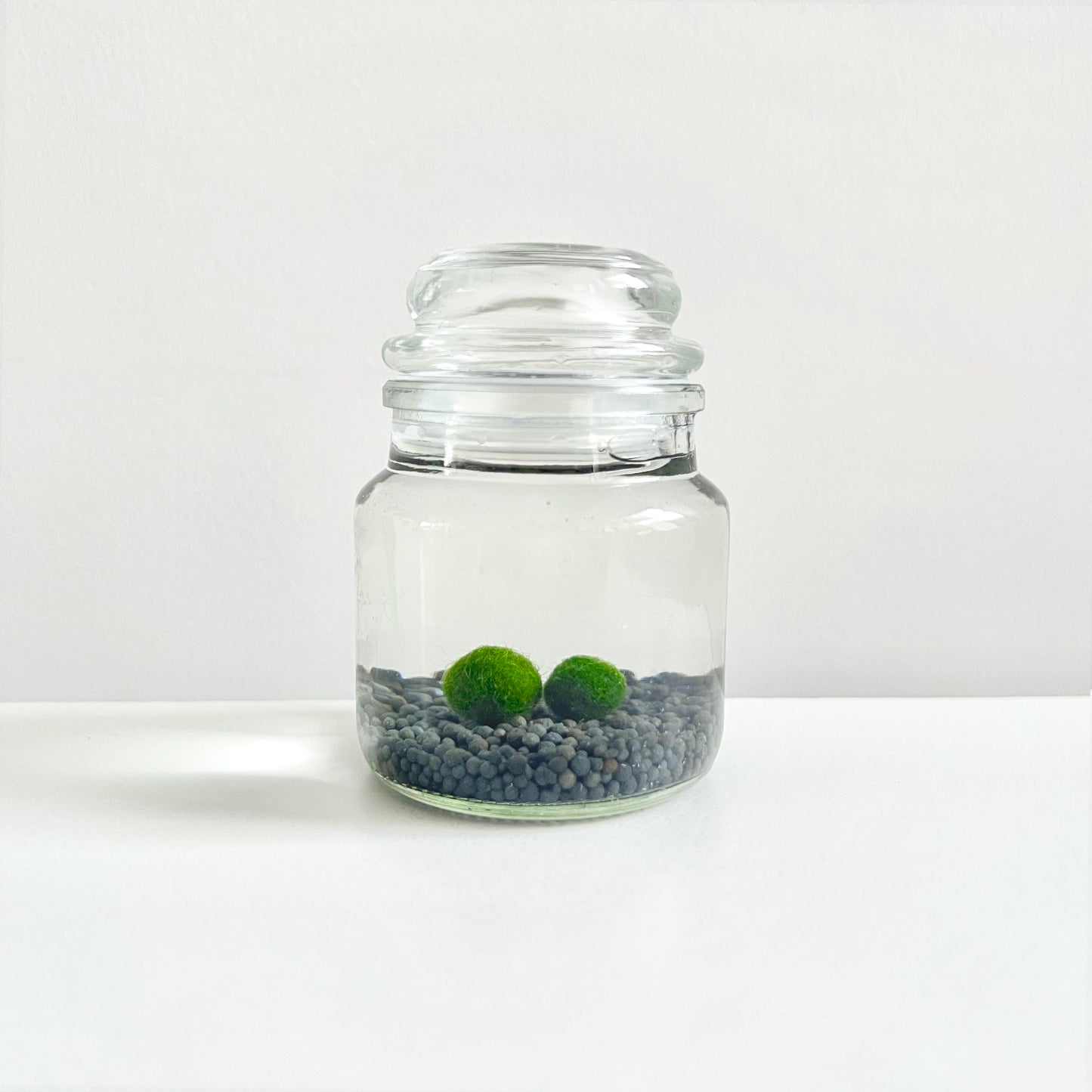 Moss Ball Kit – 2pcs 120ml Glass Jars with Lids, 1cm Live Marimo Moss Balls, Mushroom Bottle Set – Unique Terrarium Gift