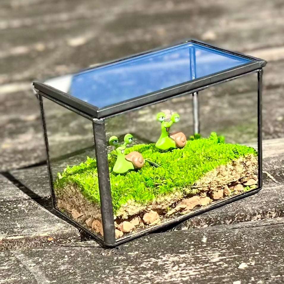 Smile Snail Desktop Decoration Micro Landscape Lawn Handmade Preserved Moss Art