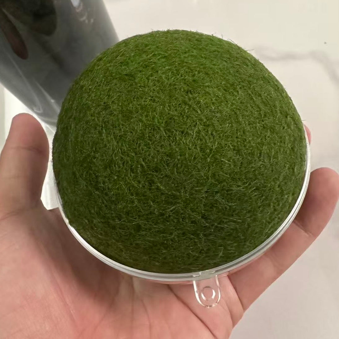 Collector Grade: Pre-order Large Marimo Moss Ball - Round and Grow Slow