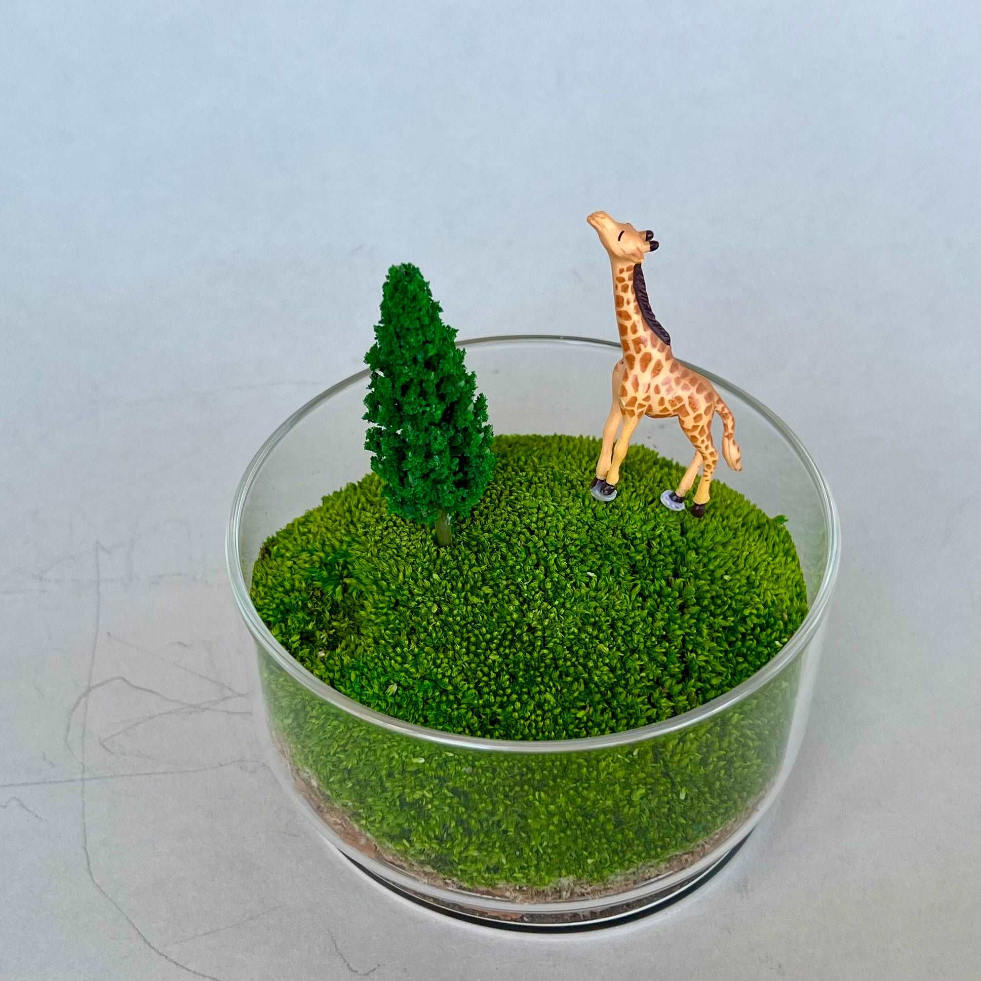 Handmade Terrarium Mini Giraffe Desktop Decoration Micro Landscape LawAre you tired of the monotony of your computer desktop? Say goodbye to boredom with our meticulously designed and handmade desktop decorations. Each product is craft