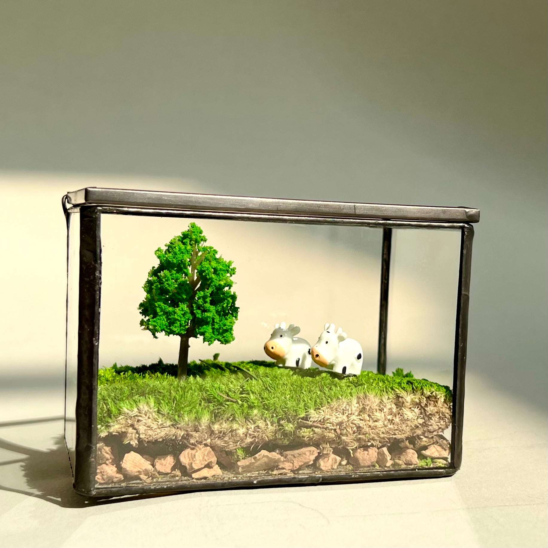 Micro Landscape Mini Cows Handmade Glass Terrarium Preserved Mossbox MAdd a dash of pastoral charm to your desk with our "Pastoral Play" Miniature Cow Scene, a handmade glass terrarium that combines the beauty of a glass terrarium with