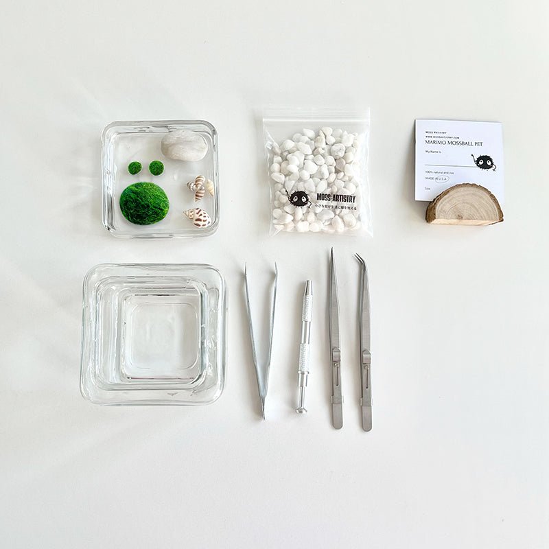Marimo Moss Ball Aquarium Glass Terrarium Designer 4.5" Home Decor andSpecification:
4.53" Square Glass Terrarium * 1
3-4cm Marimo Live Moss Ball * 1
0.8-1cm Marimo Live Moss Ball * 2
White Pebbles Bag * 1
Name Card and wood stander * 