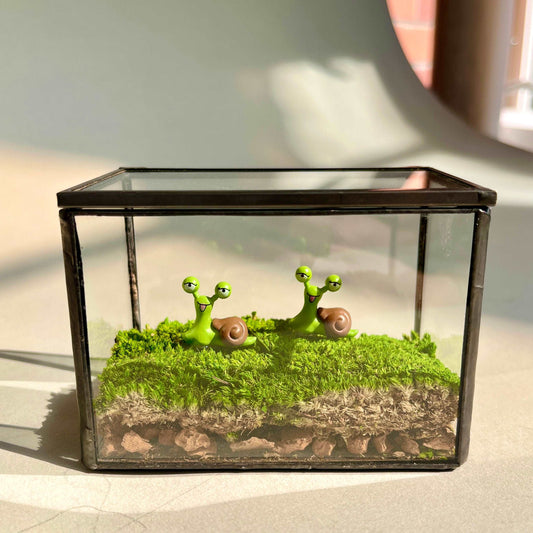 Smile Snail Desktop Decoration Micro Landscape Lawn Handmade Preserved Moss Art