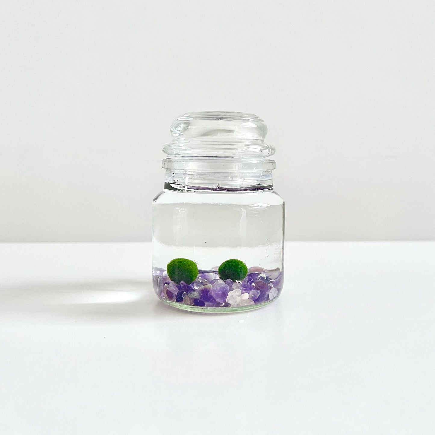 Moss Ball Kit – 2pcs 120ml Glass Jars with Lids, 1cm Live Marimo Moss Balls, Mushroom Bottle Set – Unique Terrarium Gift
